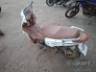 2025 SHINERAY XY 125 