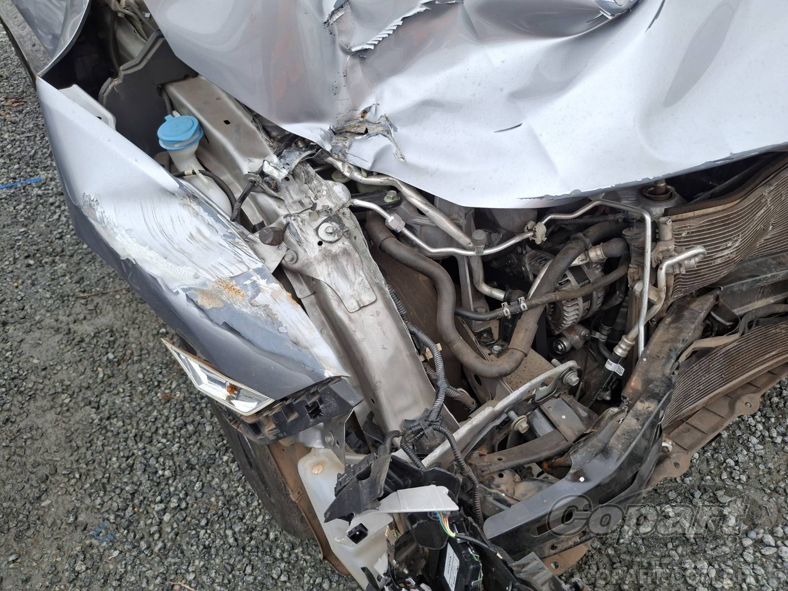 2021 HONDA CIVIC — foto 13 de 14