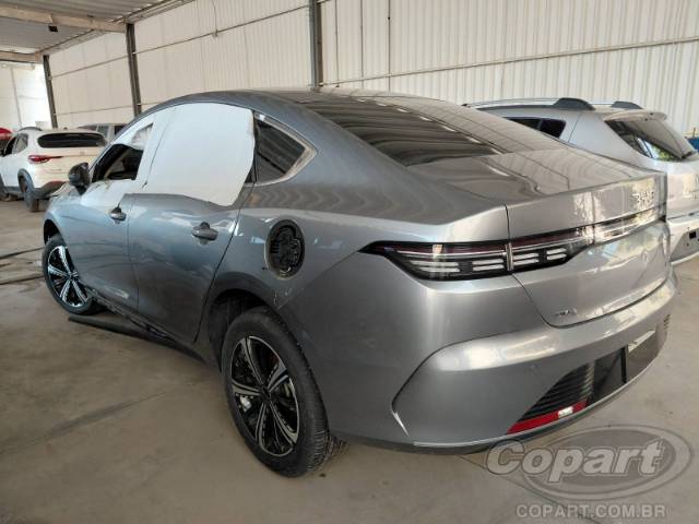 2025 BYD KING 