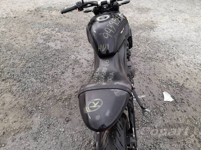 2024 TRIUMPH TRIDENT 