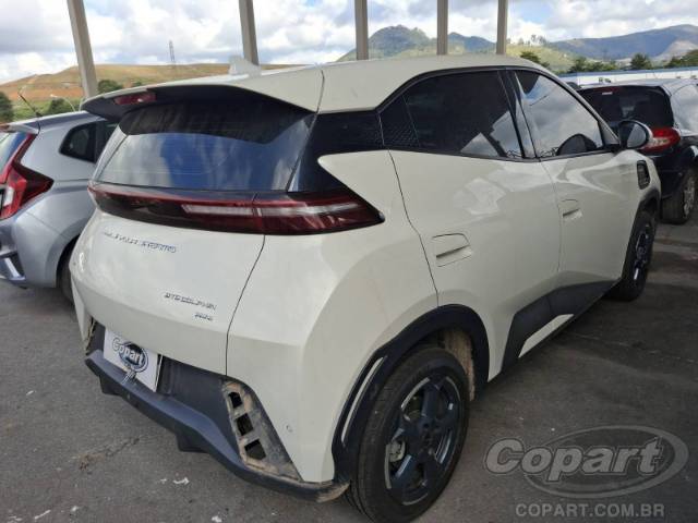 2025 BYD DOLPHIN MINI 