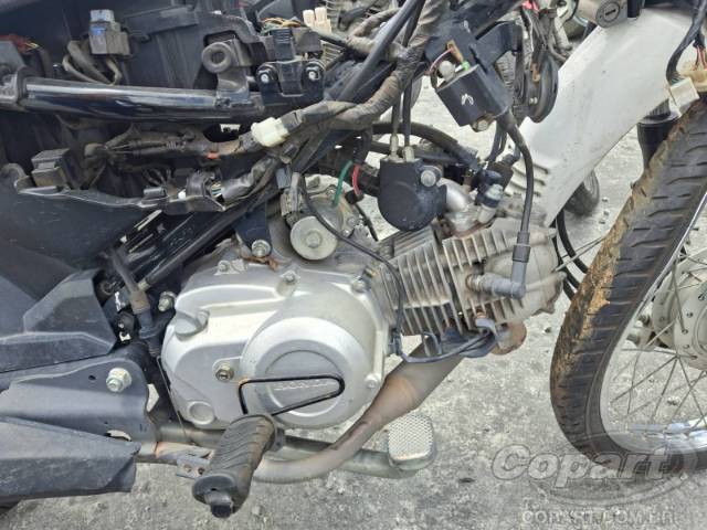 2025 HONDA POP 