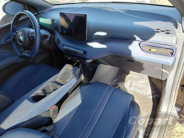 2025 BYD DOLPHIN MINI 