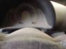 2006 VOLKSWAGEN FOX 