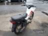 2019 HONDA POP 