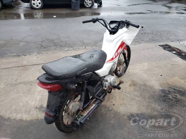 2019 HONDA POP 