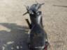 2011 HONDA BIZ 125 