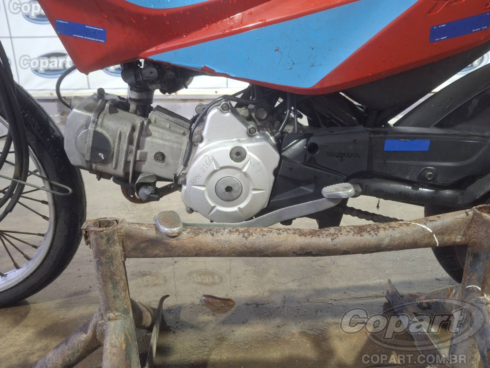 Foto 5: 2023 HONDA POP