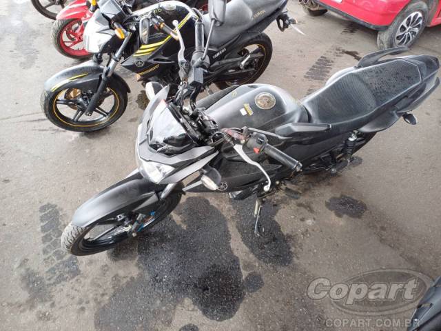 2024 YAMAHA FAZER 