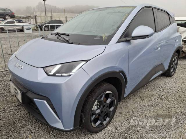 2027 BYD DOLPHIN MINI 