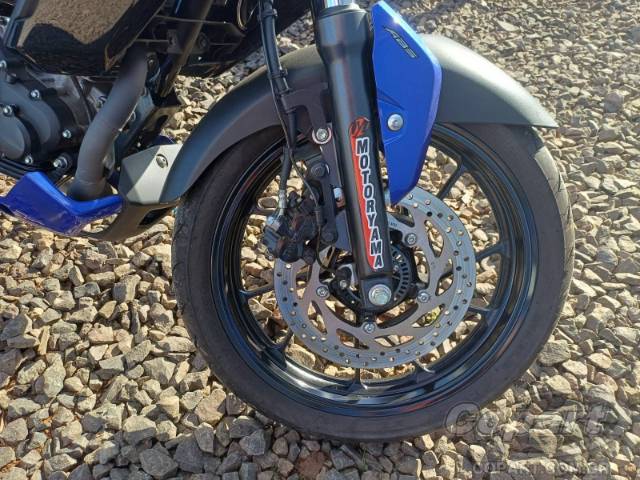 2025 YAMAHA FZ15 