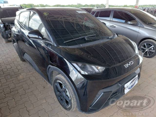 2025 BYD DOLPHIN MINI 