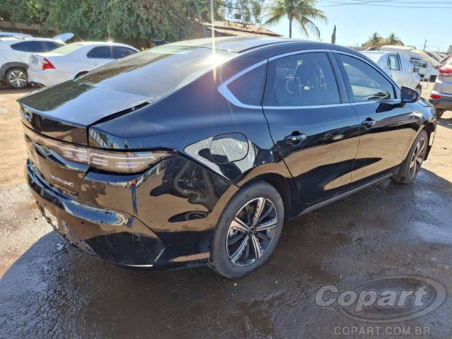 2025 BYD KING 