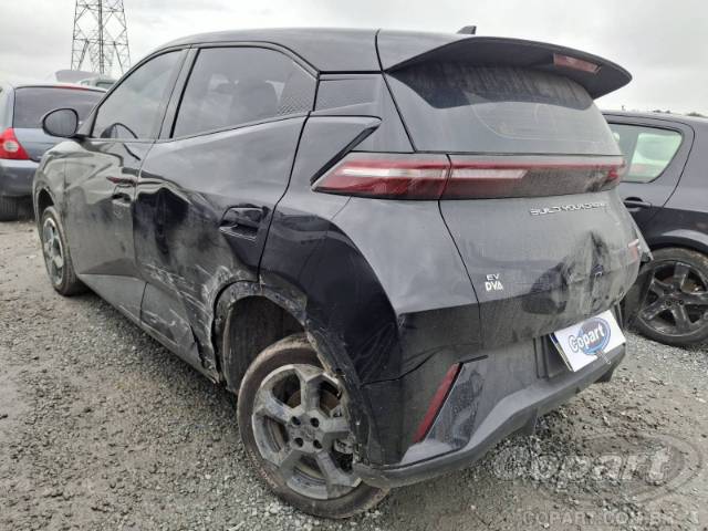 2025 BYD DOLPHIN MINI 