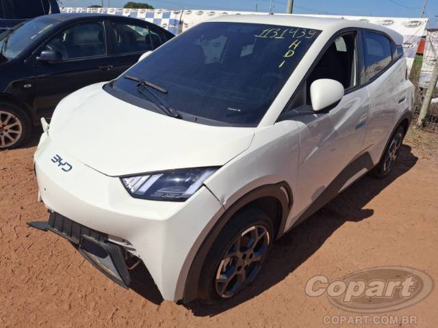 2026 BYD DOLPHIN MINI 