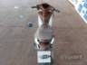 2025 SHINERAY XY 125 