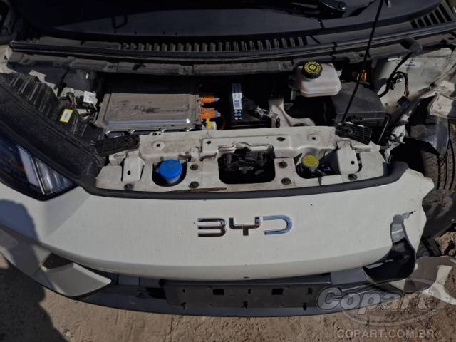 2025 BYD DOLPHIN MINI 