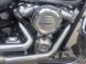 2020 HARLEY-DAVIDSON SOFTAIL 