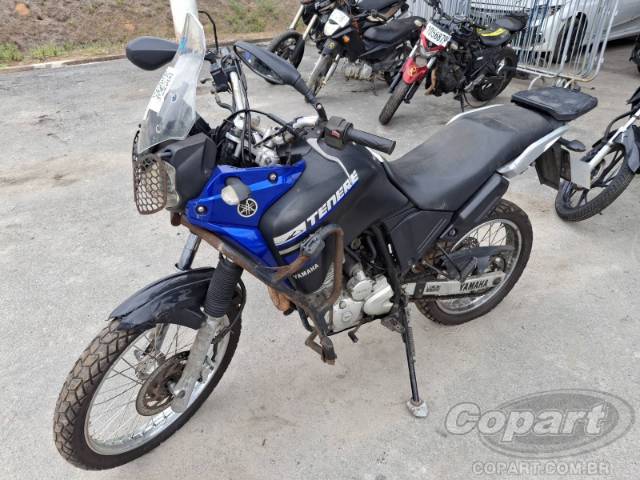 2019 YAMAHA XTZ 250 
