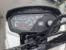 2025 HONDA POP 