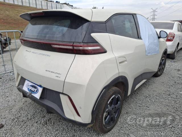 2024 BYD DOLPHIN MINI 
