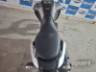 2026 YAMAHA XTZ 250 