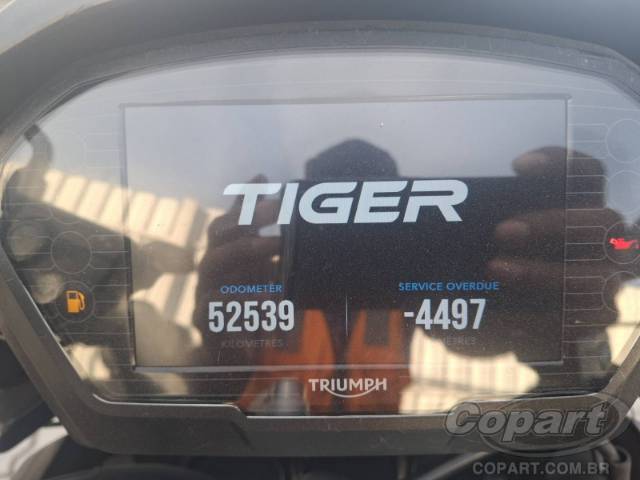 2019 TRIUMPH TIGER 