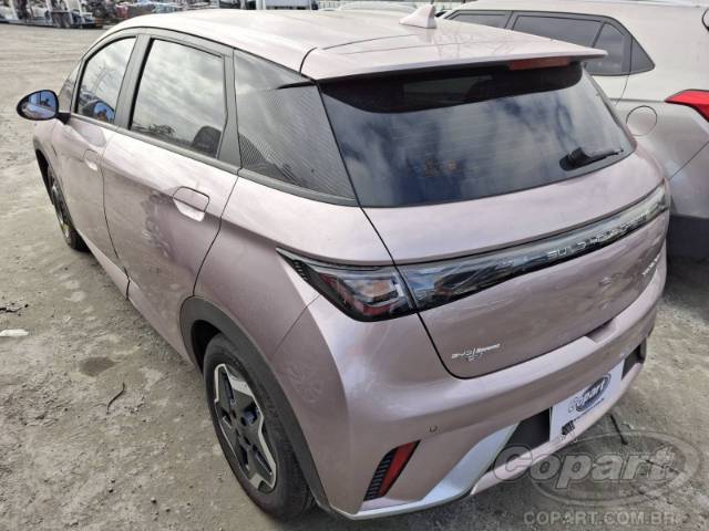 2025 BYD DOLPHIN 