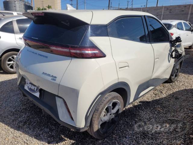 2025 BYD DOLPHIN MINI 