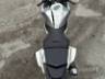 2026 YAMAHA YZF R15 
