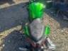 2025 KAWASAKI Z500 