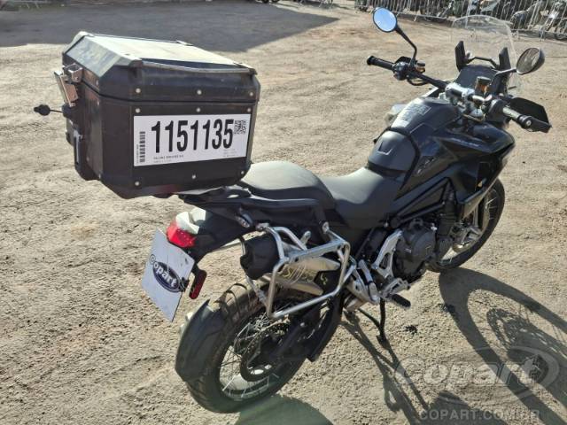 2026 TRIUMPH TIGER 