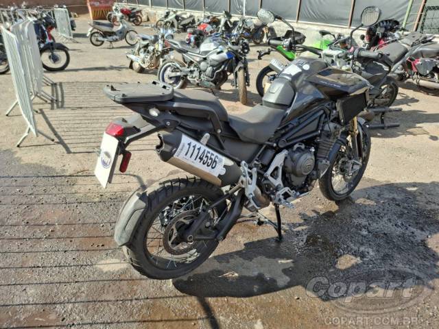 2024 TRIUMPH TIGER 
