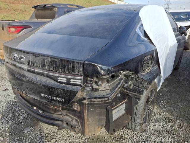 2025 BYD KING 