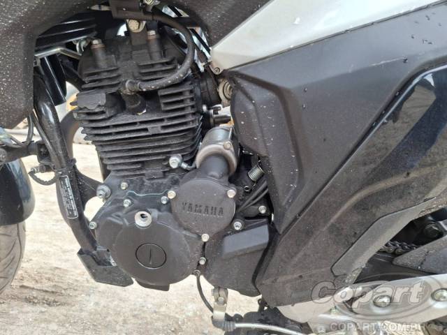 2025 YAMAHA FZ25 FAZER 