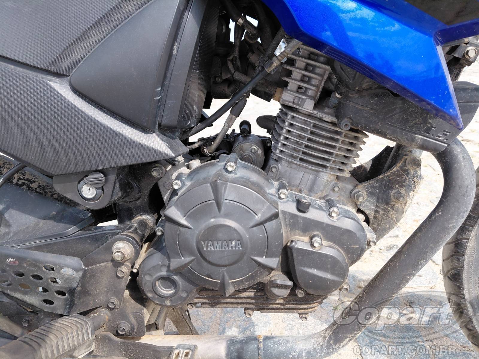 Foto 5: 2022 YAMAHA FAZER