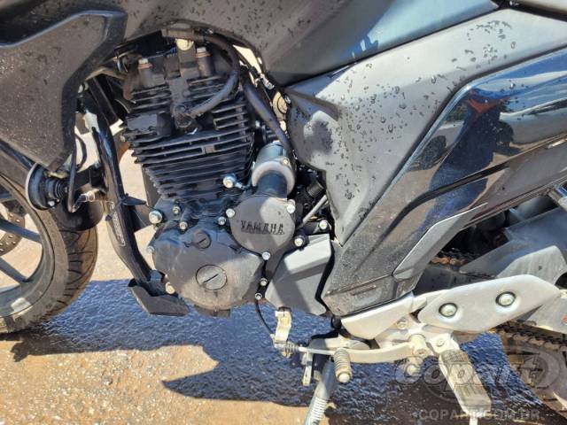 2024 YAMAHA FZ25 FAZER 