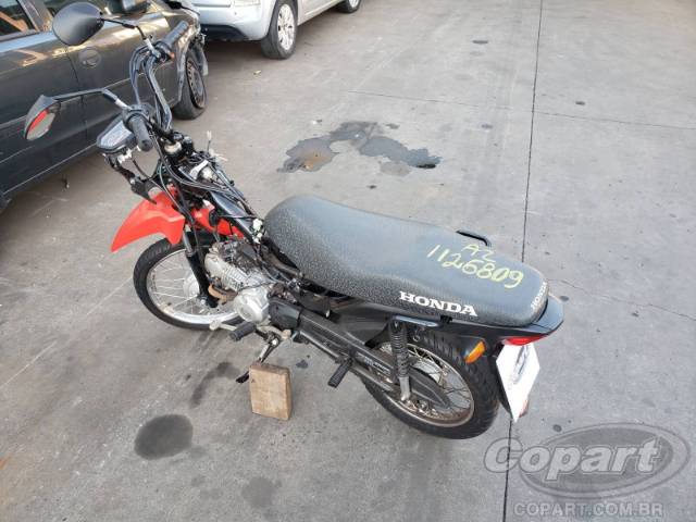 2026 HONDA POP 