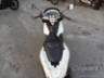 2014 HONDA PCX 