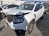 2026 RENAULT DUSTER 