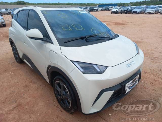 2025 BYD DOLPHIN MINI 