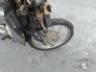 2009 HONDA BIZ 125 