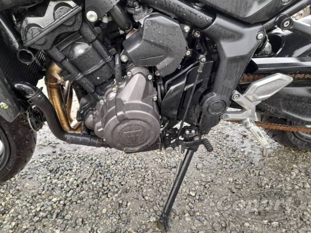 2024 TRIUMPH TRIDENT 