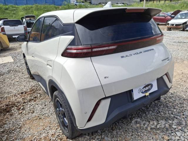 2025 BYD DOLPHIN MINI 