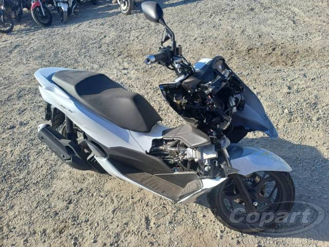 2025 HONDA PCX 