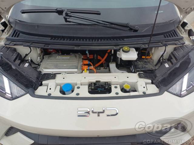 2026 BYD DOLPHIN MINI 