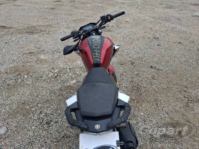 2025 YAMAHA FZ25 FAZER 