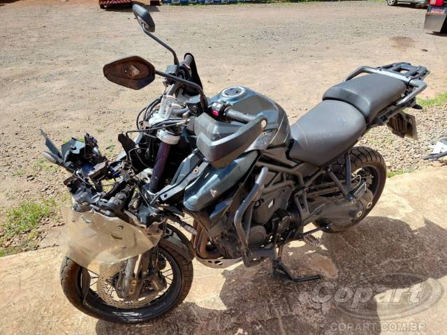 2019 TRIUMPH TIGER 