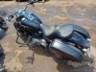 2019 HARLEY-DAVIDSON SOFTAIL 