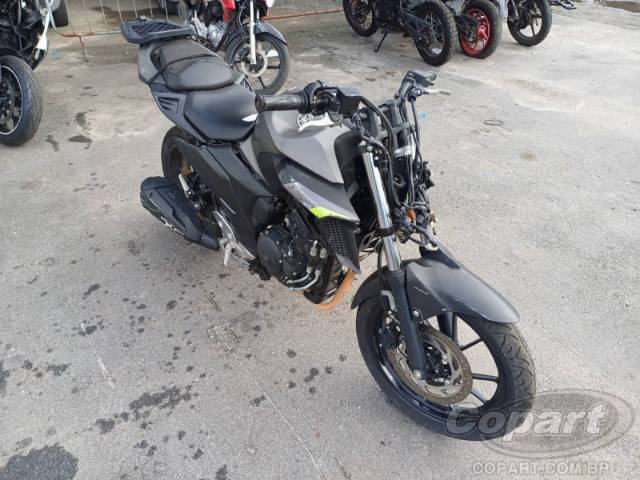 2024 YAMAHA FZ25 FAZER 